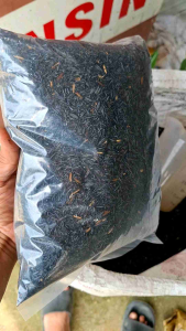 3 Liter sekam bakar steril untuk media tanam semai dan yang lain