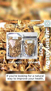 Dried Marshmallow Root Tea: A Natural Cough Suppressant & Gentle Throat Soother