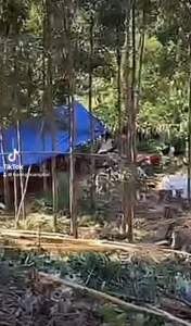 500 g quế khô cạo vỏ sạch hàng chất lượng dầu cao (quế yên bái)