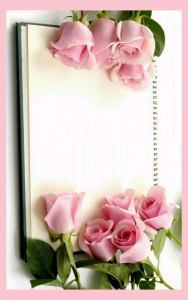 Skirt Lycra (Straight Cut ) Mini Skirt Extended Skirt Mini skirt muslimah