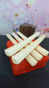 Klokotan Tulang Kerbau Oval Berkualitas A24