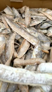 IKAN ASIN LAYUR BULAT KERING