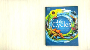 DK Life Cycles