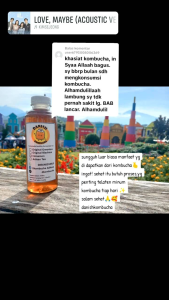 Teh Kombucha Siap Minum Paket 3 Botol DanishKombucha12