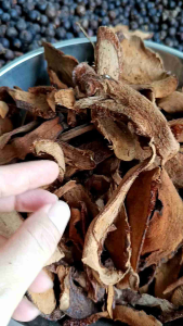 1kg Cây Củ Ráng Bay - phơi khô