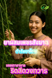 ผสมเพชรสังฆาต POPAYA 60แคปซูล 🌱