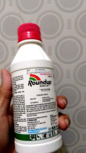 Roundup 486 SL isi 200 ml Herbisida Pembasmi Rumput Gulma Liar