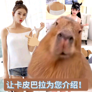 Sis & Angel Camisole Girl Sleeveless Slim Strip Singlet Kid Student Teenager Innerwear Seamless Top - C001