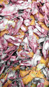 Ikan asin 69 CUMI asin 1kg termurah paling laris fresh