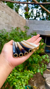 ONCE PIPA TANDUK ASLI HITAM DAN BULE KUALITAS ISTIMEWA