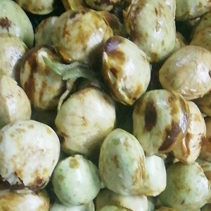 มะตึ่งแก่แกะเปลือก1kilo