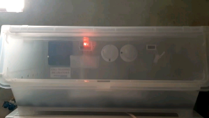 incubator for new born puppies and kittens