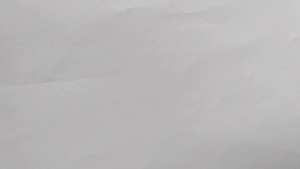 Benih Pare Berkualitas Tinggi & Cara Menggunakannya