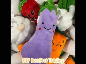 Pet Toy Vegetable Design Toy ❌Sound Toy 宠物无声陪玩玩具蔬菜玩具狗狗玩具猫咪玩具Mainan Kucing Mainan Anjing