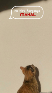 3pcs Celana Jogger Cargo Anak & Celana Elastic Waist Jogger Pants Terbaru 2024