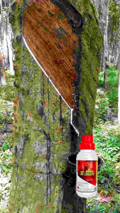 พาราไวท์ฅนขี่ม้า1ลิตร รส.2111185/2565กรมวิชาการเกษตรรับรอง (หนุ่มทองแดง แหลงไหรให้เทือน)