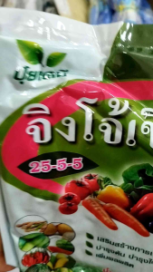 25-5-5 ปุ๋ยเกล็ด (ตราจิงโจ้เขียว)ปุ๋ยเกล็ดพ่นทางใบคุณภาพสูง ช่วยเร่งการเจริญเติบโต ทางต้น ทางใบและขยายขนาดผลอ่อน จุ1กิโลกรัม