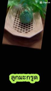 มะกรูดปลอม( วัสดุผลิตจากโฟม)