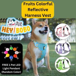 🔥NEW ARRIVAL🔥Fruit Colorful Premium Solid Breathable Adjustable Reflective Pet Harness - HEY!BOBO