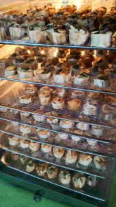 กล้วยป๊อปหนึบ 250 กรัมผสมธัญพืชร่วมเม็ดมะม่วงอัลมอนด์งาขาวดำเมล็ดฟักทองอบกล้วยน้ำว้าจังหวัดกำแพงเพชรของแท้รสชาติอร่อย