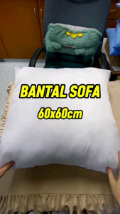 60cm X 60cm Square Pillow Insert White Pillow Inner