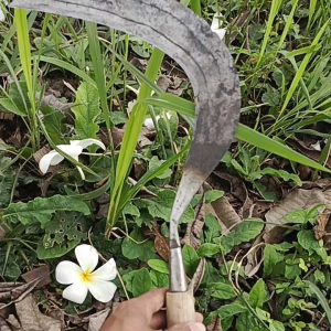 Sabat Rumput Full Baja Isen Super Tajam