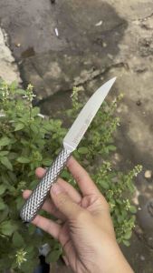 Dao gọt hoa quả dao gọt trái cây hàng Đức cán thép liền khối