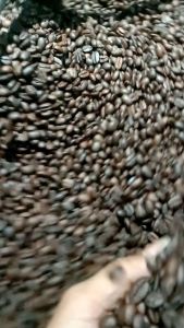 Arabika Aceh Gayo Roastbean Sangrai 500gr