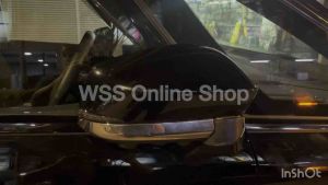 [Toyota Alphard / Vellfire AGH40] Crystal Albino Side Mirror LED with Sequential Signal + Welcome Light