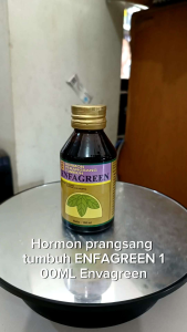 Hormon perangsang tumbuh ENFAGREEN 100ML Envagreen