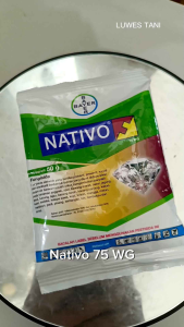 Nativo 75 wg 50gram Fungisida (besar)