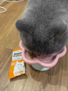 Inaba ciao sugoi crunchy prebiotics cat treats 22gms × 5 packs flavors tuna chicken / scallop