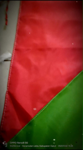 Bendera Palestina Ukuran 115x75: Penggunaan dan Fungsi