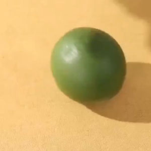 Pemerah jus manual MANUAL MINI JUICE SQUEEZER kecil saiz mini mudah disimpan dan guna