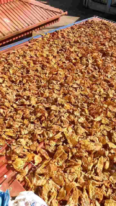 Măng nứa Tây Bắc (500 gram)