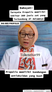Big Bee Propolis 10ml Thepprasit Original Thailand