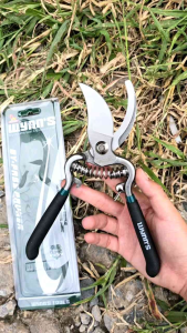 กรรไกรตัดแต่งกิ่ง ตรา สิงโต ขนาด 8 นิ้ว ใช้แต่งกิ่งไม้ ใบมีดคม แข็งแรง ด้ามจับนุ่ม ไม่เจ็บมือ