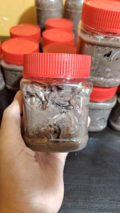 Ginamos from BOHOL 250gms Boho Clothing Brand - Lazada