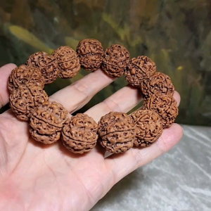 Rare XL 24mm+ Premium Nepal Rudraksha high altitude (dense & high natural oil contents) pinkish same tree both sides Plum Flower "Needle holes Honeycomb"  Double-Dragon 5 Mukhi bracelet 罕见大尺寸尼泊尔五瓣高山安娜籽粉红皮同树双面梅花针孔蜂窝双龙大金刚菩提子手串
