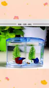 Betta fish Mini Aquarium Fighting fish tank double Fish Breeding Box