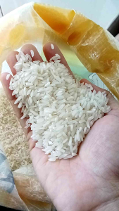 Beras Pulen Enak Asli Hasil Panen 1 kg