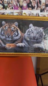 ภาพเสือคู่พร้อมกรอบทองขนาด50x88ซม.สัญลักษณ์ของพลังอำนาจผู้นำความสำเร็จคู่อุปถัมภ์ความสุขสมหวัง