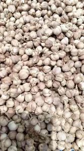 Kapulaga kering / kapol kering / kapulaga bersih 500 gram