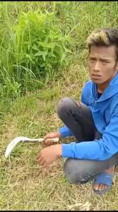 Arit & Sabit Rumput Peternakan Baja: Alat Peternakan Berkualitas