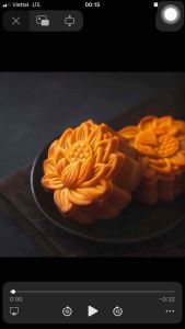 Khuôn Trung Thu lò xo hoa sen 150g - Đang hot