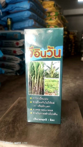จีอินวัน ( 3 in 1 ) ปุ๋ยเคมี ฮอร์โมนพืช คงรบสูตรบำรุง อ้อย มันสำงปะหลัง ข้าวโพด ลำต้นใหญ่ แข็งแรง เพิ่มผลผลิต ทนแล้งได้ดี ขนาด 1 ลิตร