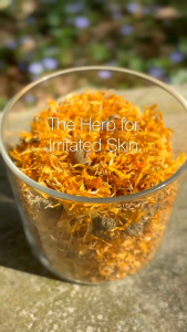 ORGANIC Dried Calendula / Marigold Flower Herbal Tea