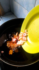kerupuk bintang mentah / kerupuk tersanjung