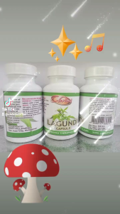 LAGUNDI CAPSULES 100