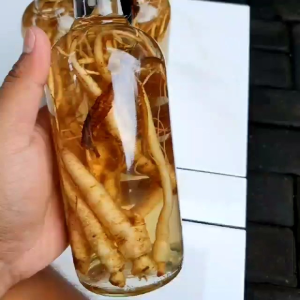 Gingseng merah Korea herbal untuk kesehatan tubuh dan stamiina